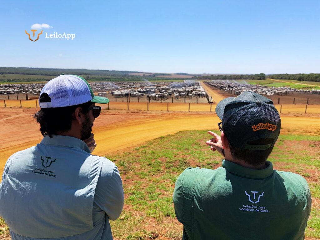 Visita ao confinamento da Fazendas Reunidas Baumgart em Rio Verde, Goiás.